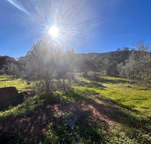 Terreno para Venda em Alte Foto 2