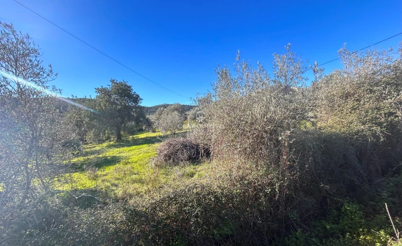 Terreno para Venda em Alte