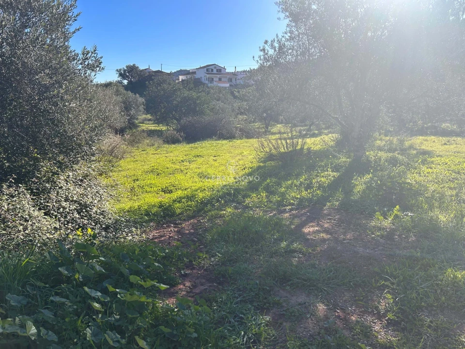 Terreno para Venda em Alte Foto 4