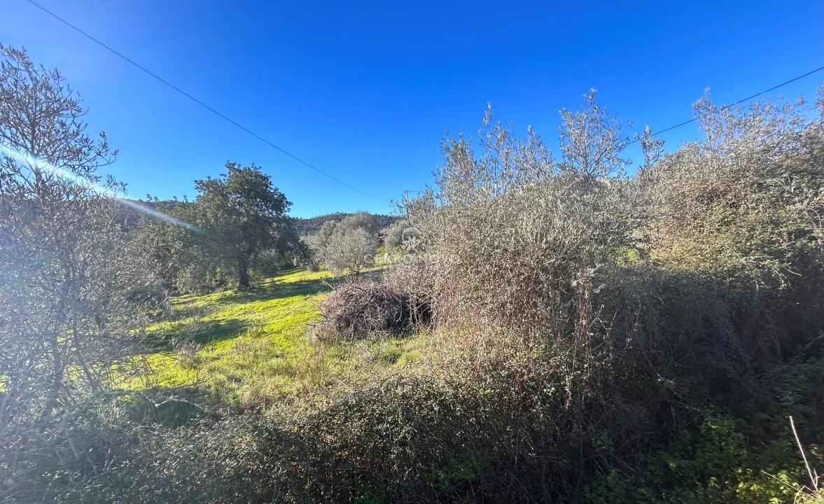 Terreno para Venda em Alte Foto 1