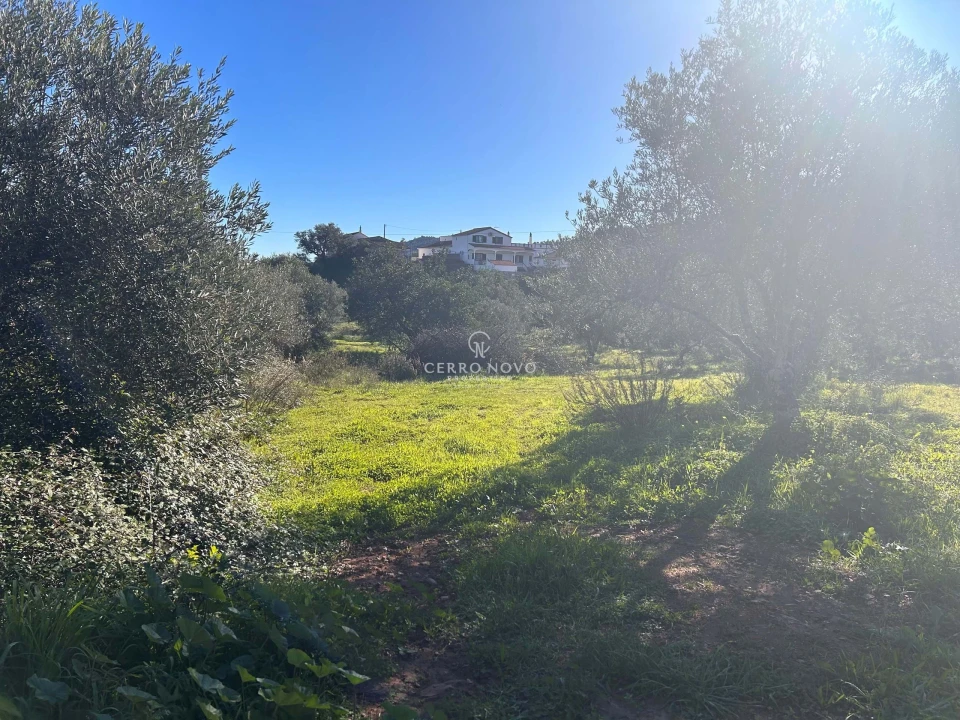 Terreno para Venda em Alte Foto 5