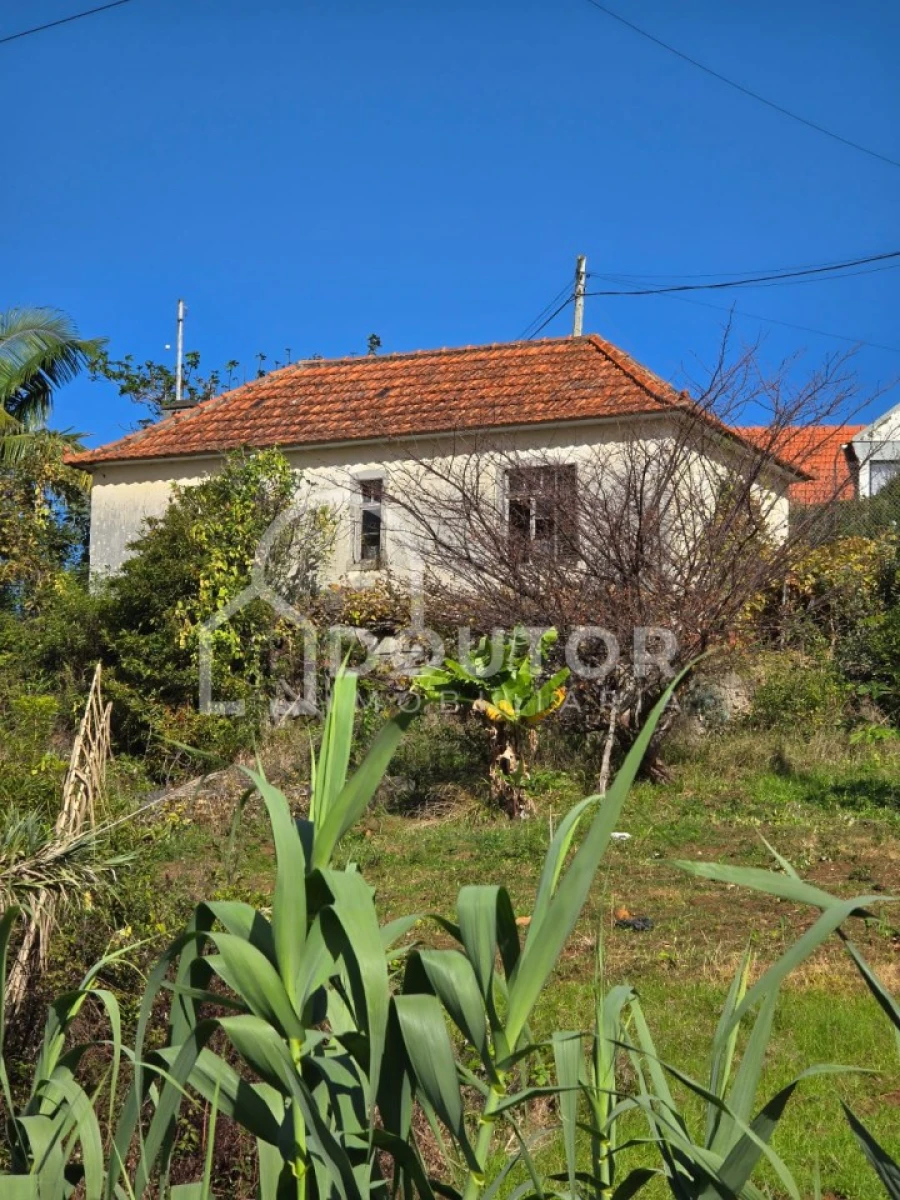 Moradia T3 para Venda em Porto da Cruz Foto 11