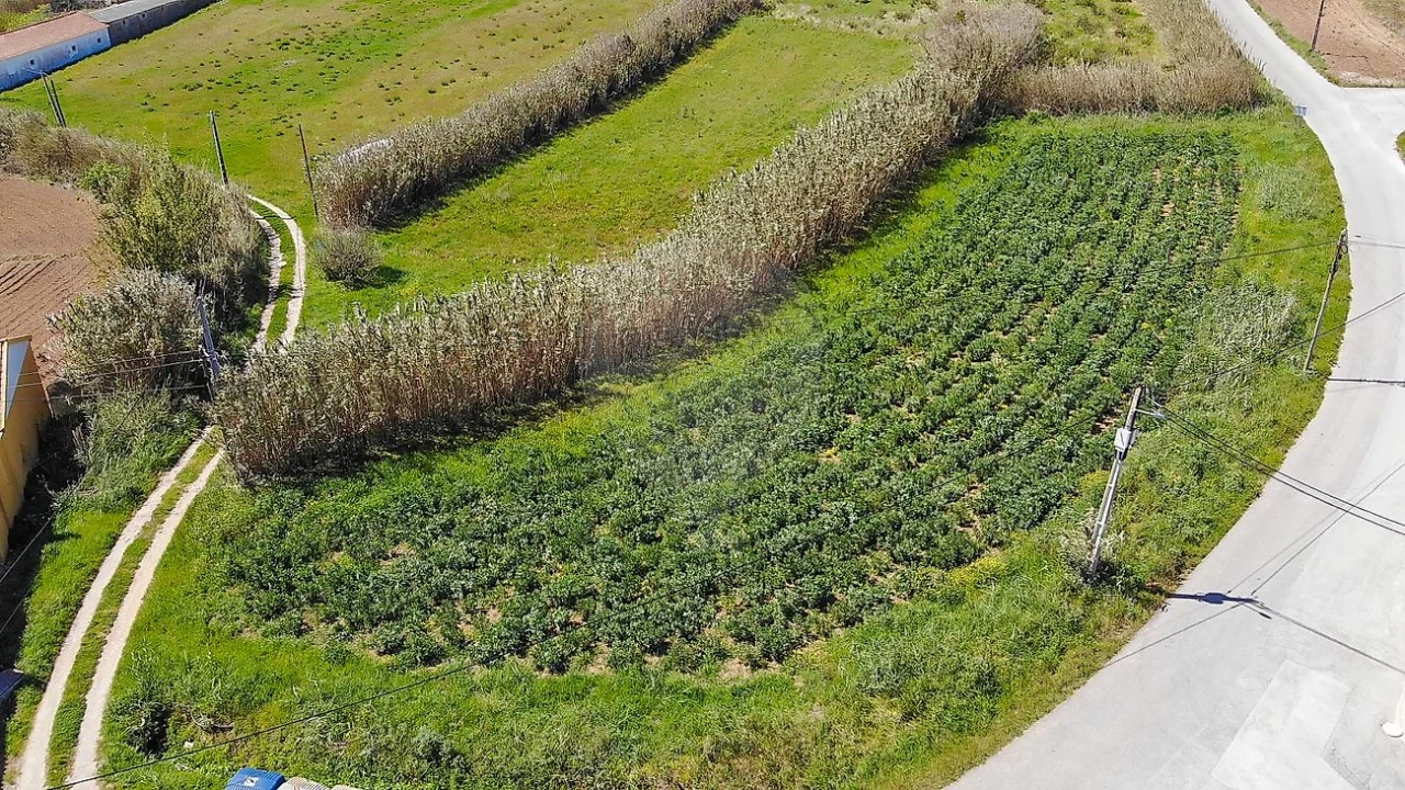 Terreno para Venda em Ribamar Foto 2