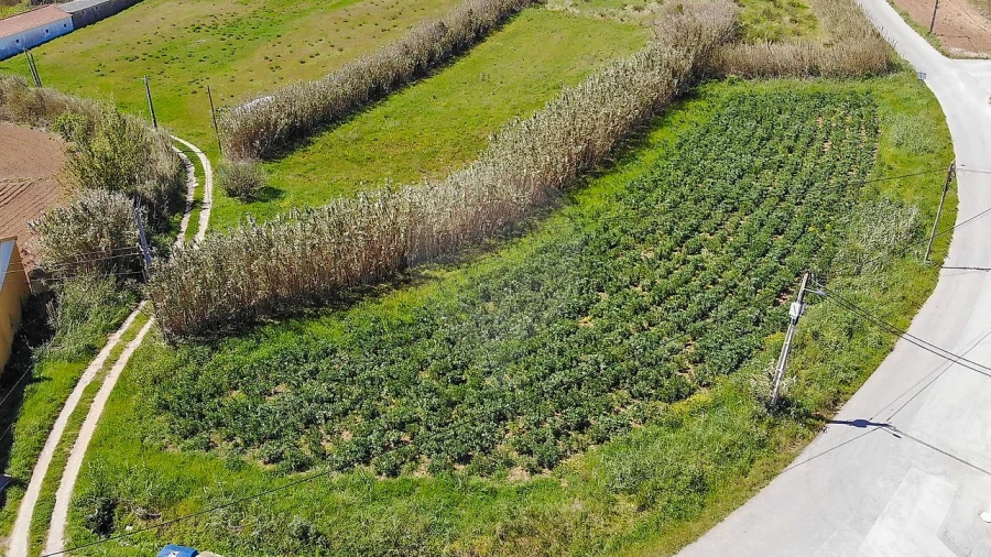 Terreno para Venda em Ribamar