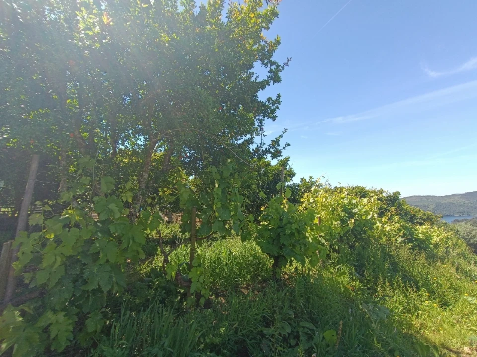 Moradia T3 para Venda em Fontes Foto 11