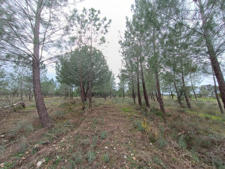 Quinta para Venda em Bemposta Foto 5