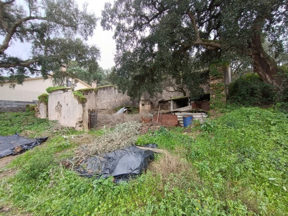 Quinta para Venda em Bemposta Foto 11