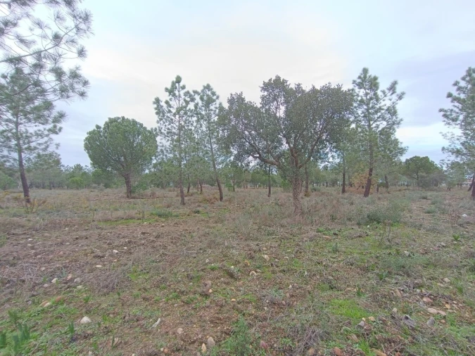 Quinta para Venda em Bemposta Foto 9