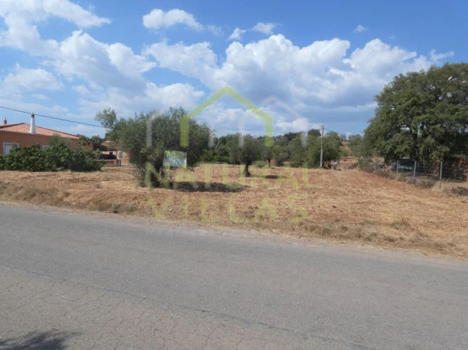 Terreno Agricola ou Rústico para Venda em São Bartolomeu de Messines