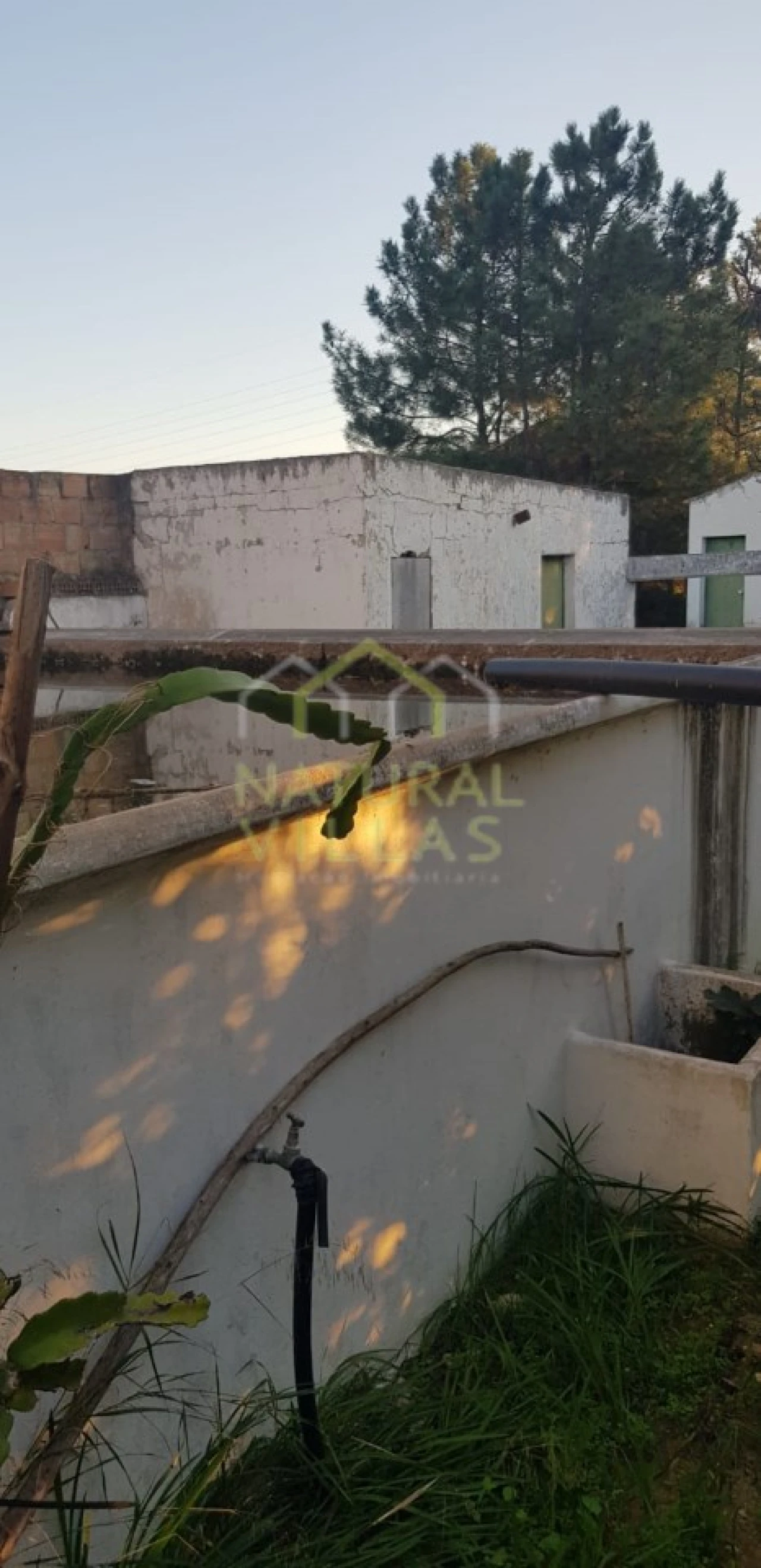 Quinta T2 para Venda em Pechão Foto 30