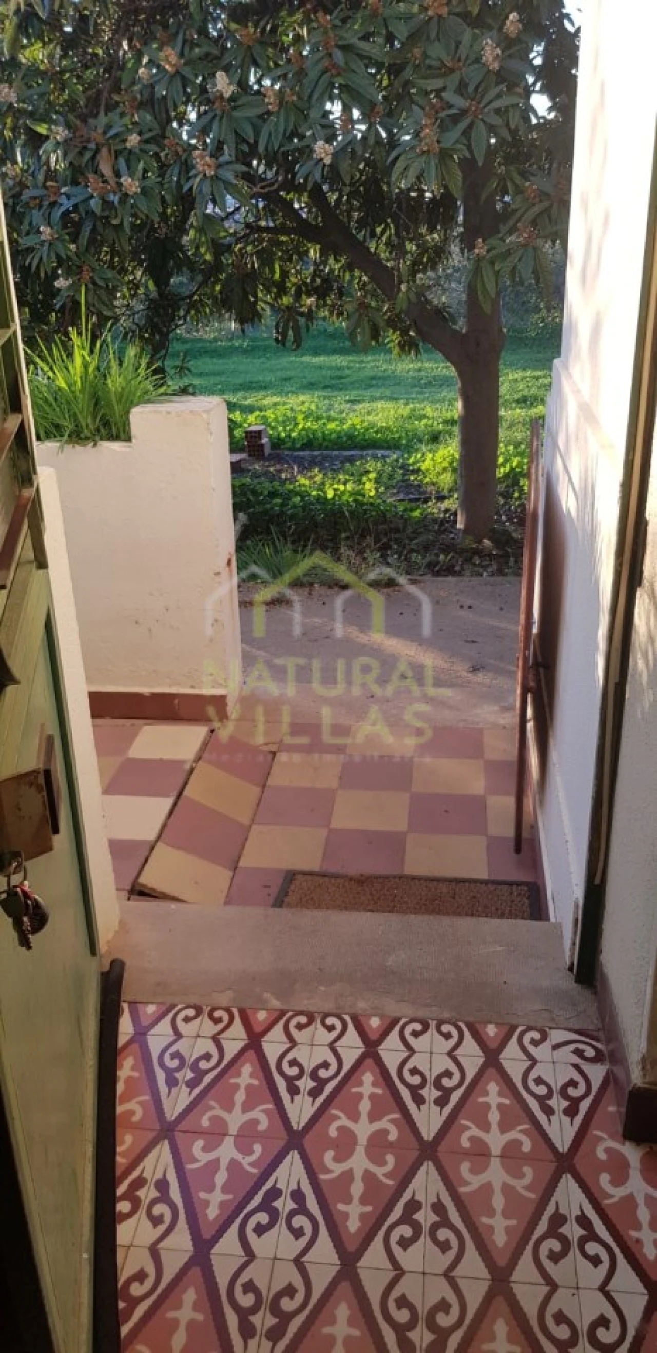 Quinta T2 para Venda em Pechão Foto 24