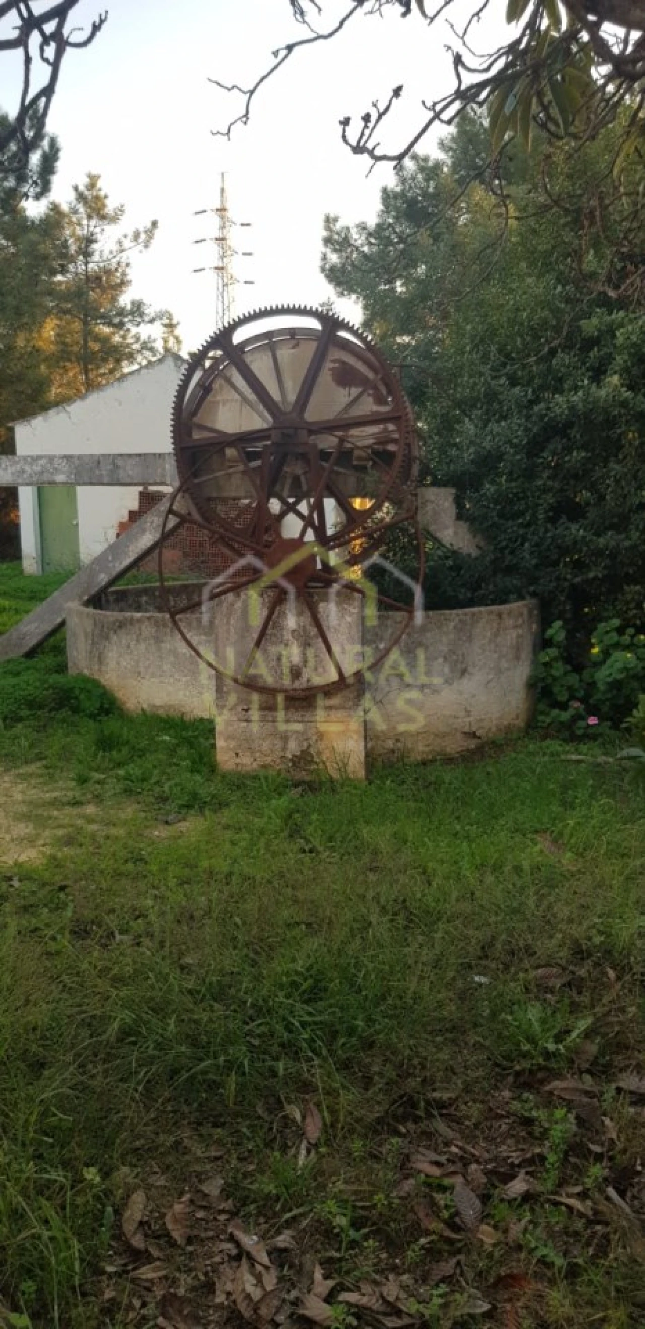 Quinta T2 para Venda em Pechão Foto 31