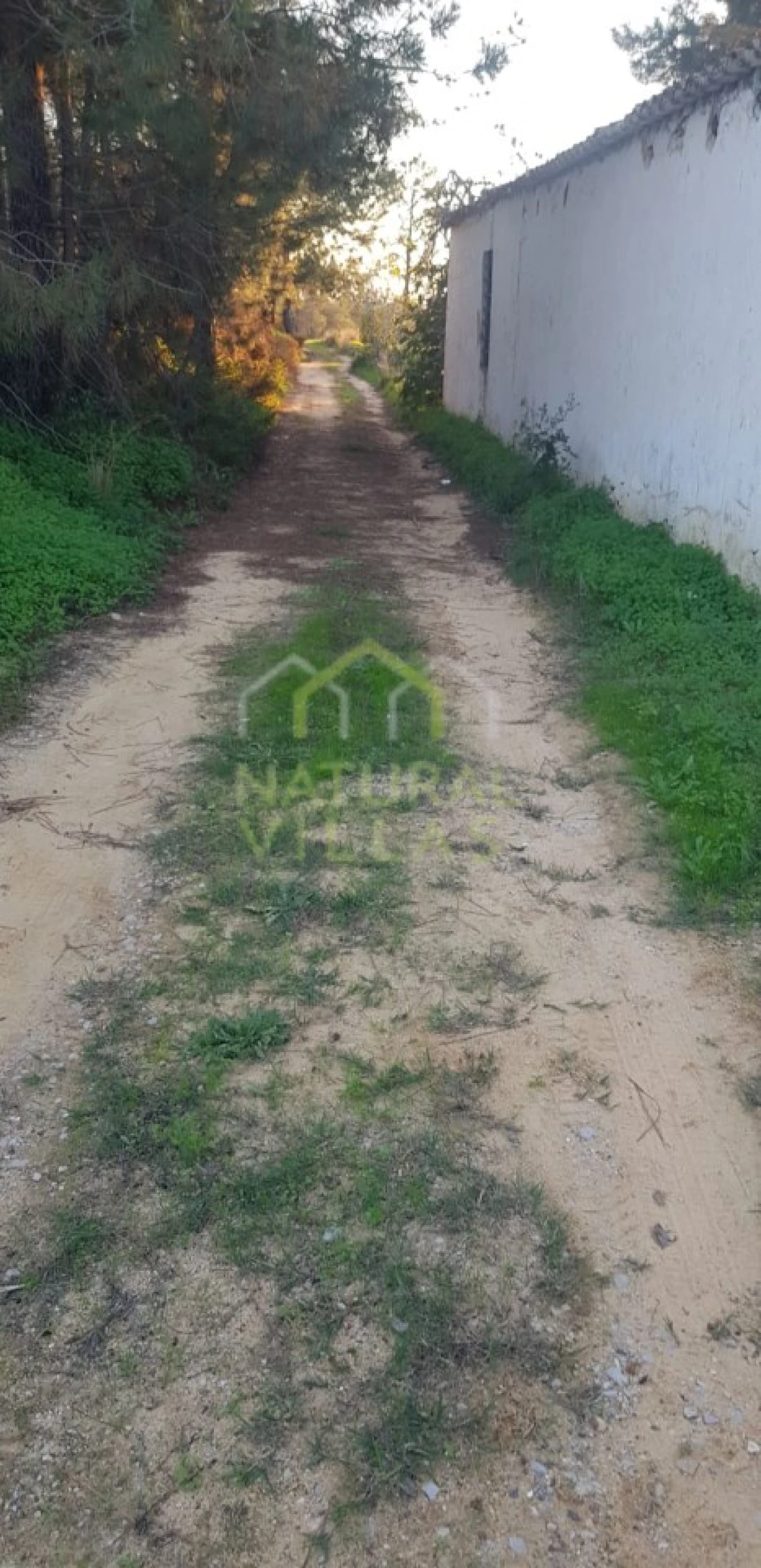 Quinta T2 para Venda em Pechão Foto 35