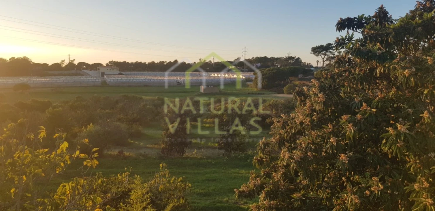 Quinta T2 para Venda em Pechão Foto 5