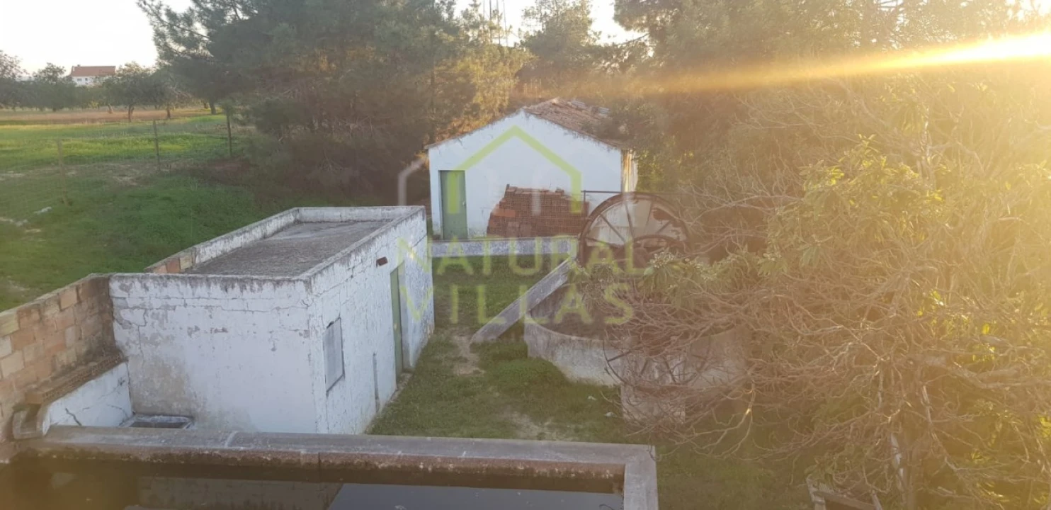 Quinta T2 para Venda em Pechão Foto 1