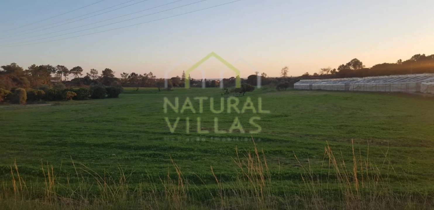 Quinta T2 para Venda em Pechão Foto 4