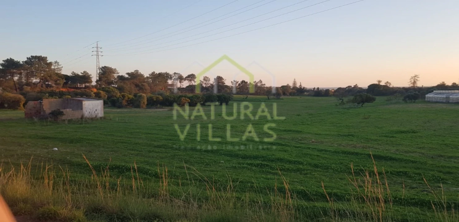 Quinta T2 para Venda em Pechão Foto 7