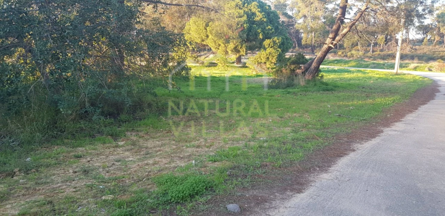 Quinta T2 para Venda em Pechão Foto 39