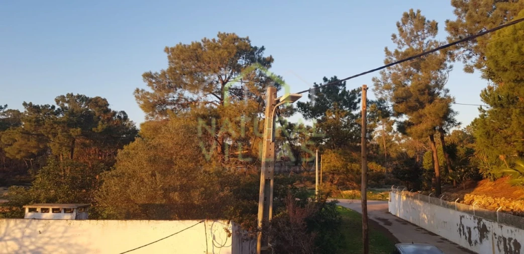 Quinta T2 para Venda em Pechão Foto 38