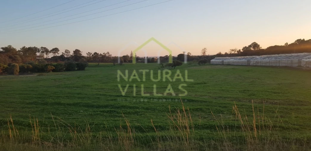 Quinta T2 para Venda em Pechão Foto 4