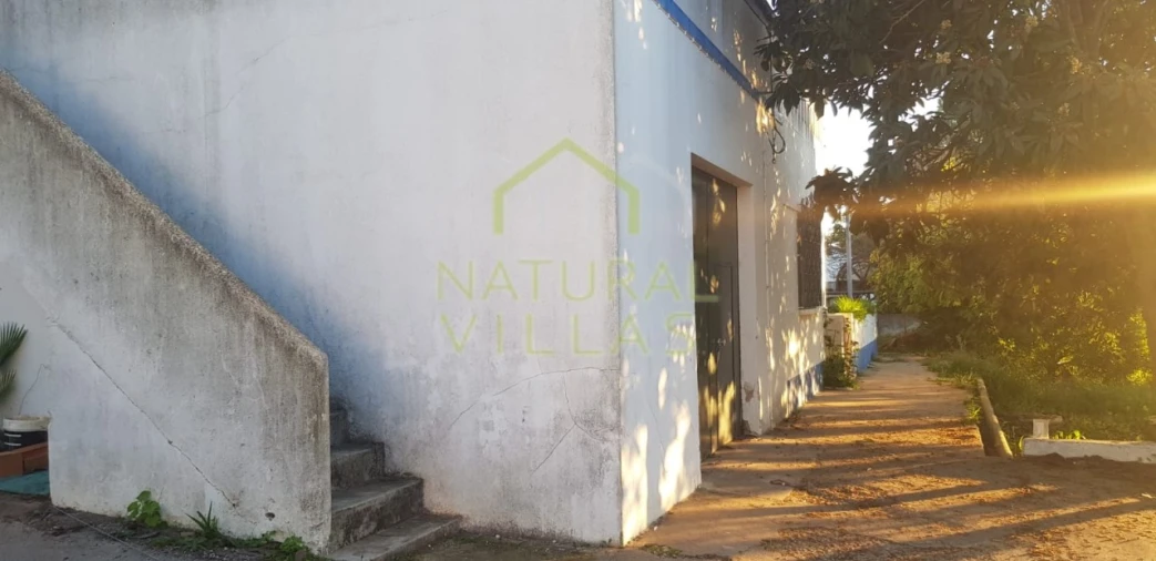 Quinta T2 para Venda em Pechão Foto 3