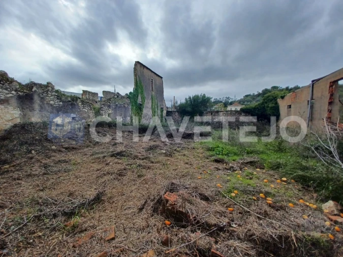 Prédio para Venda em Madalena e Beselga Foto 13