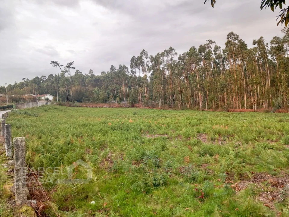 Terreno para Venda em Alheira e Igreja Nova Foto 2