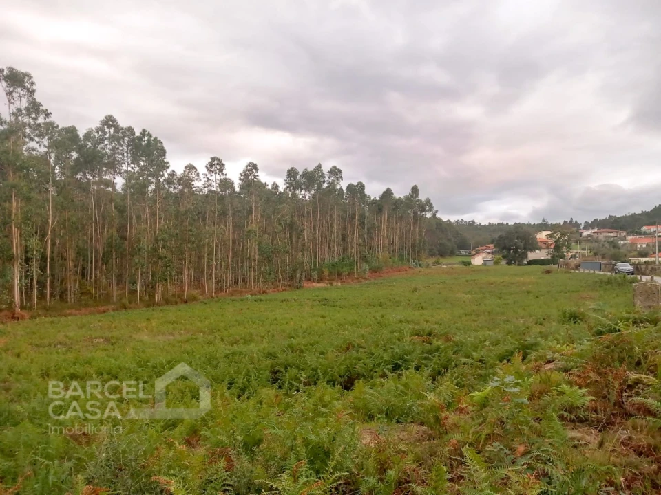 Terreno para Venda em Alheira e Igreja Nova Foto 3