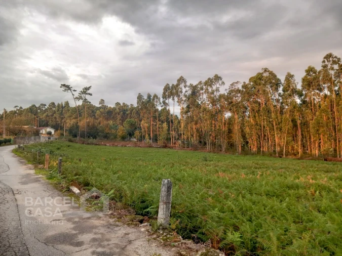 Terreno para Venda em Alheira e Igreja Nova
