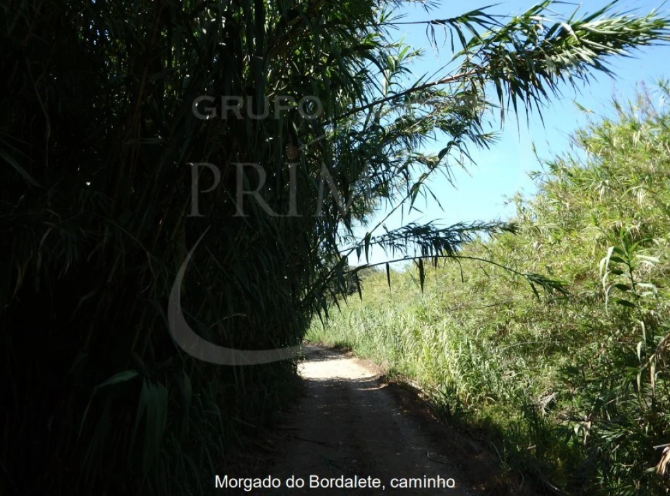 Quinta para Venda em Bordeira Foto 2