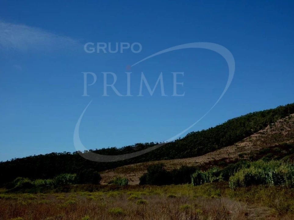 Quinta para Venda em Bordeira Foto 6