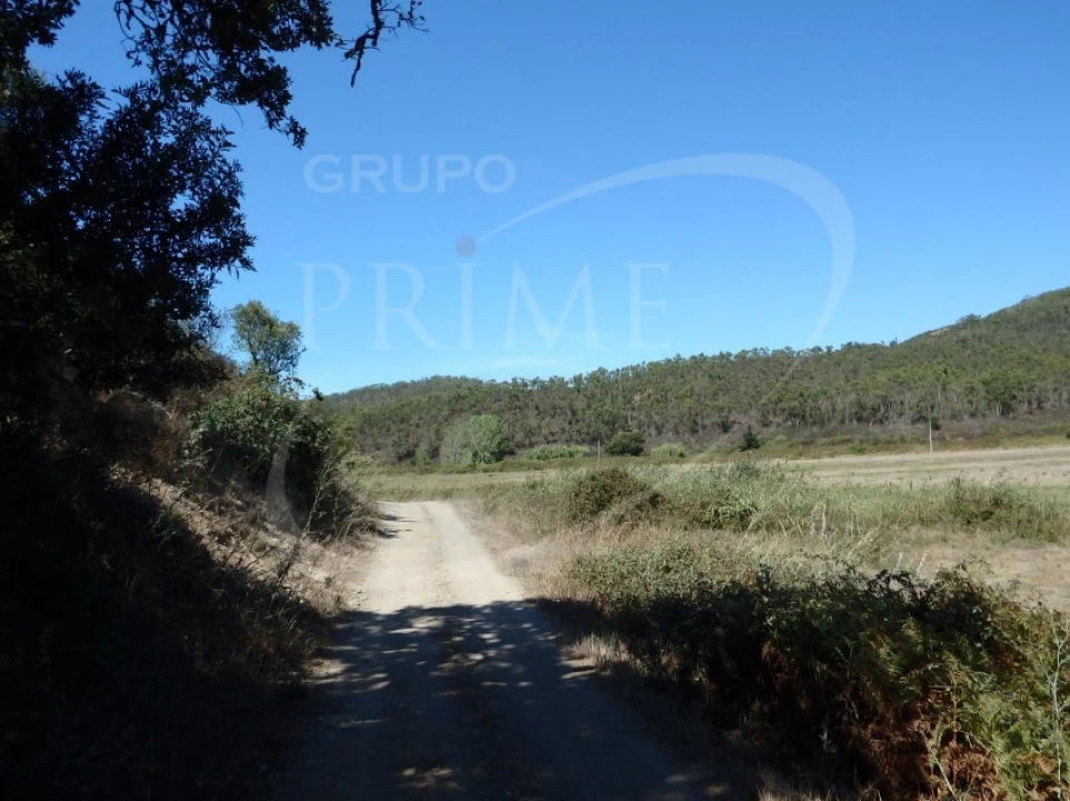 Quinta para Venda em Bordeira Foto 8