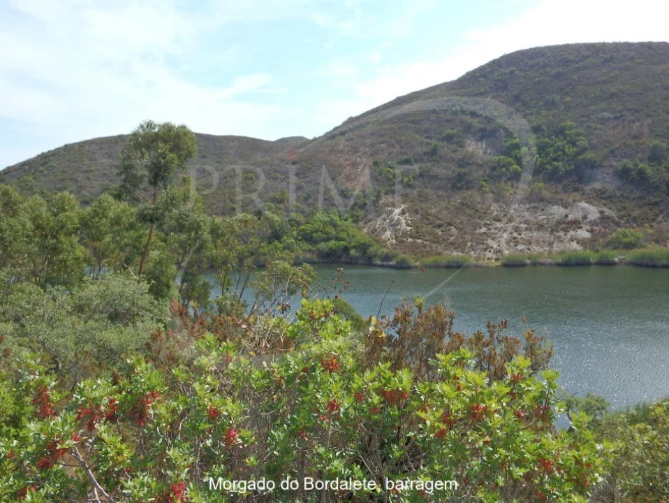 Quinta para Venda em Bordeira Foto 17