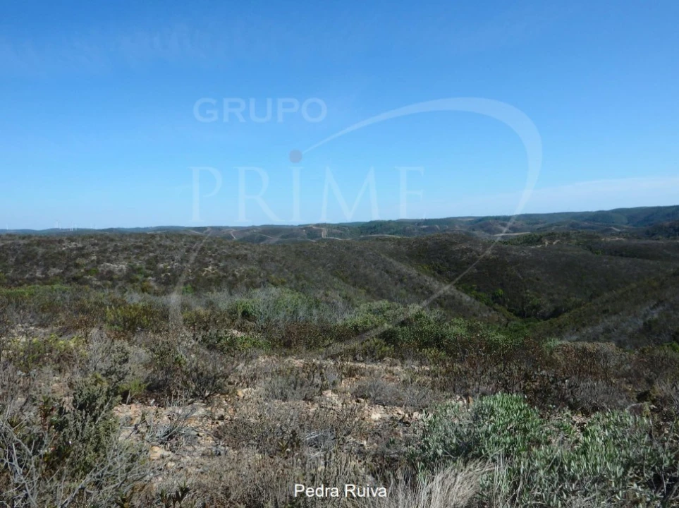 Quinta para Venda em Bordeira Foto 21