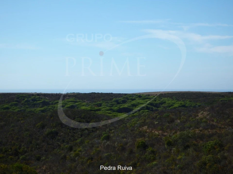 Quinta para Venda em Bordeira Foto 22