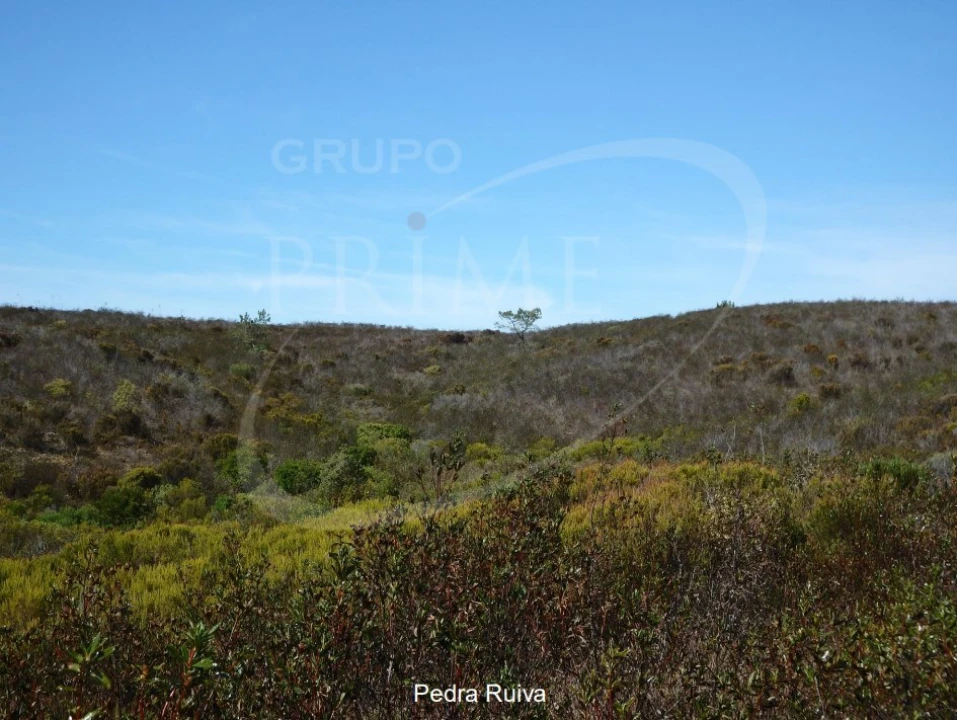 Quinta para Venda em Bordeira Foto 23