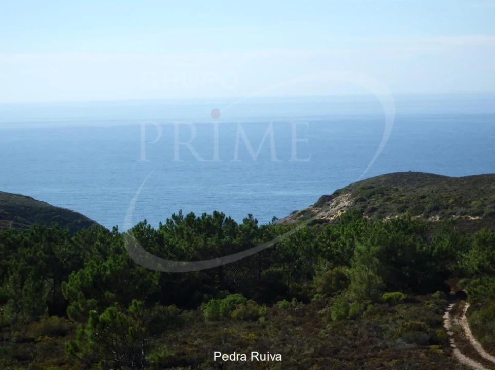 Quinta para Venda em Bordeira Foto 27