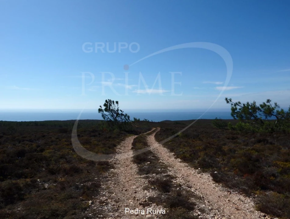 Quinta para Venda em Bordeira Foto 28