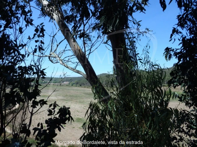 Quinta para Venda em Bordeira Foto 3