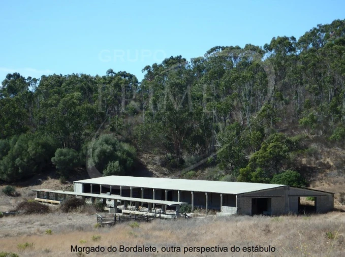 Quinta para Venda em Bordeira Foto 10