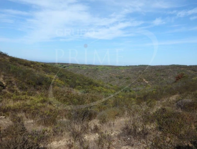 Quinta para Venda em Bordeira Foto 19