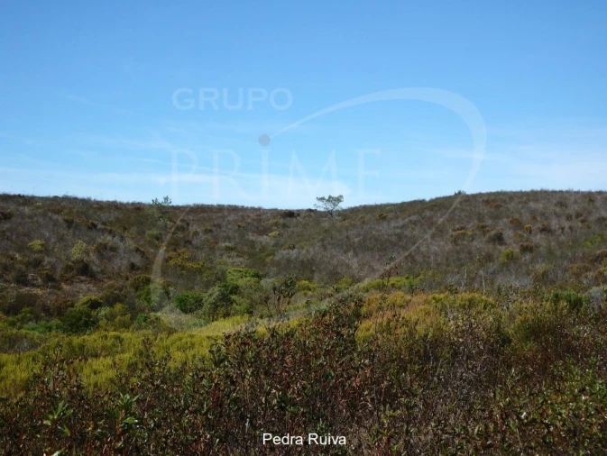 Quinta para Venda em Bordeira Foto 23