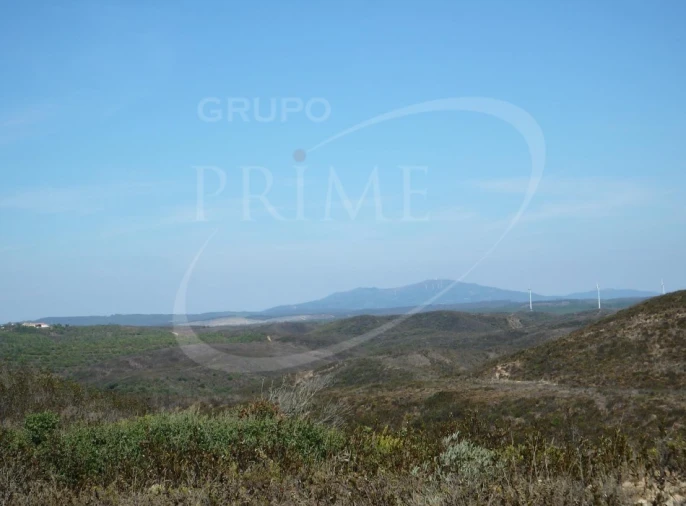 Quinta para Venda em Bordeira Foto 24