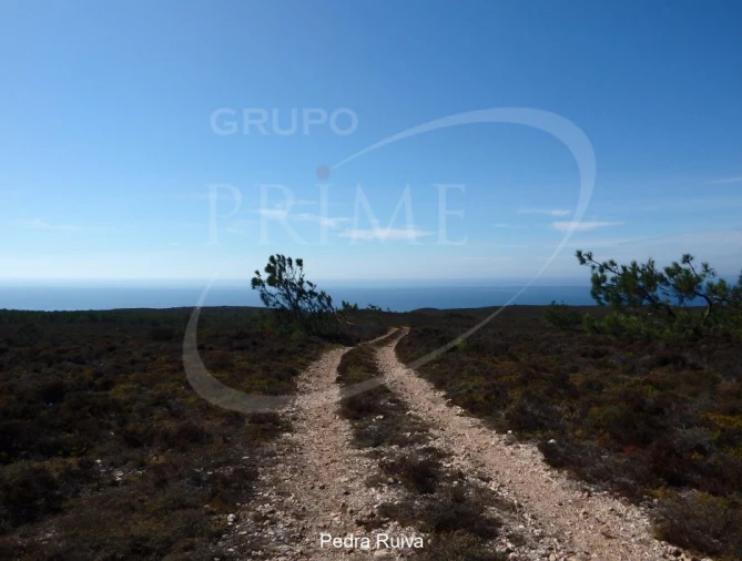 Quinta para Venda em Bordeira Foto 28