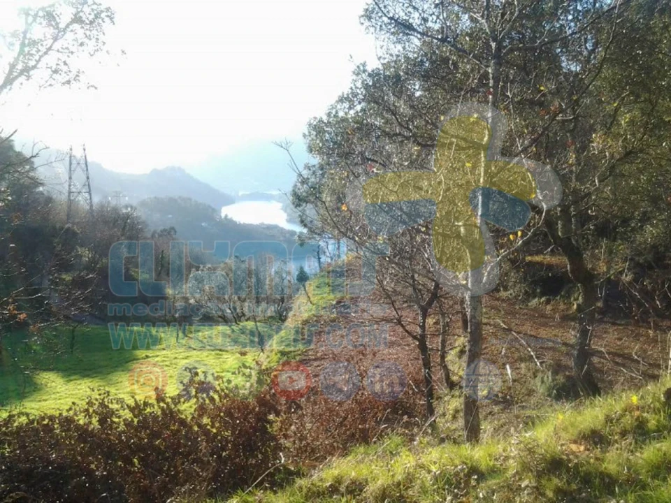 Terreno para Venda em Louredo Foto 2