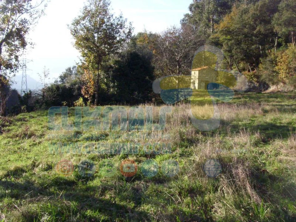 Terreno para Venda em Louredo Foto 12