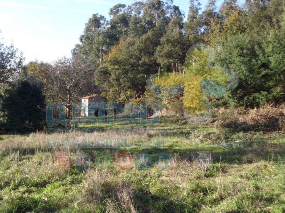 Terreno para Venda em Louredo Foto 13