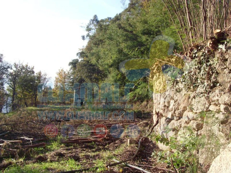 Terreno para Venda em Louredo Foto 15
