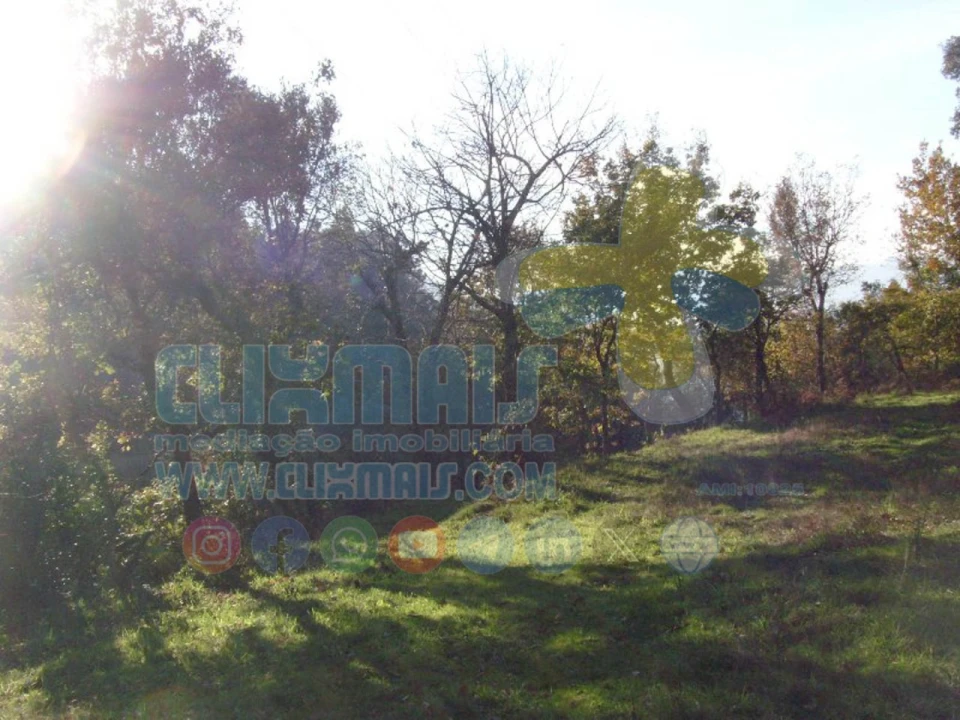 Terreno para Venda em Louredo Foto 21