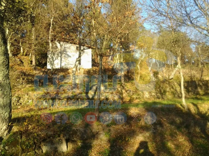 Terreno para Venda em Louredo Foto 9